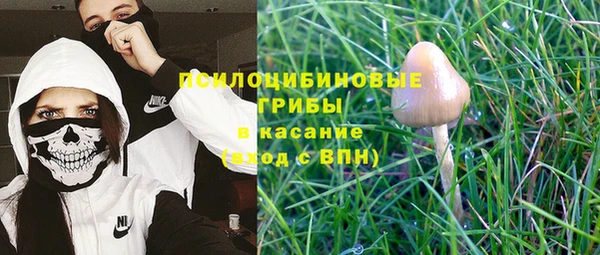 СК Володарск