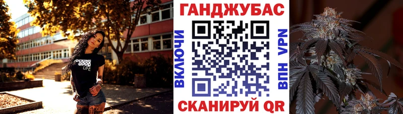 где найти наркотики  Вытегра  ссылка на мегу сайт  Конопля сатива 